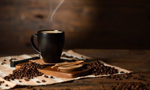 تصویر 1 از خرید و فروش دان تک ویتنام با شرایط فوق العاده
